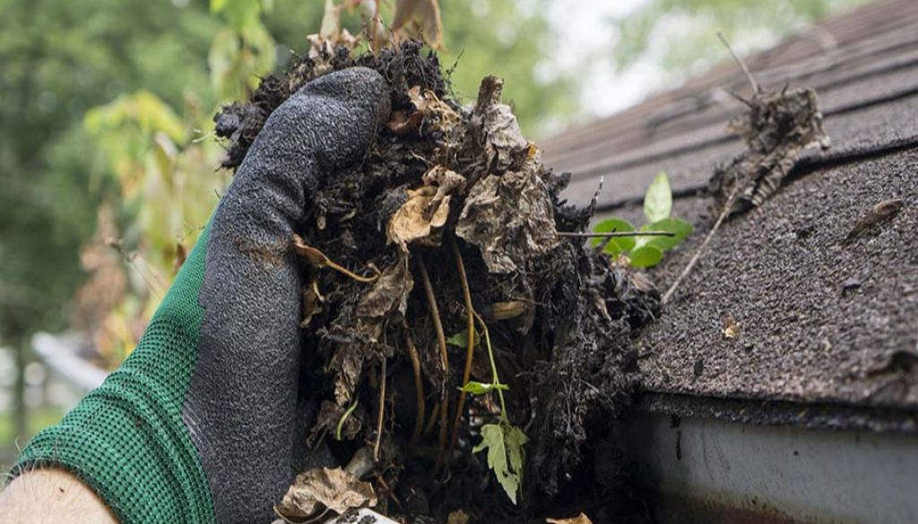 gutter cleaning | Kopa Homes