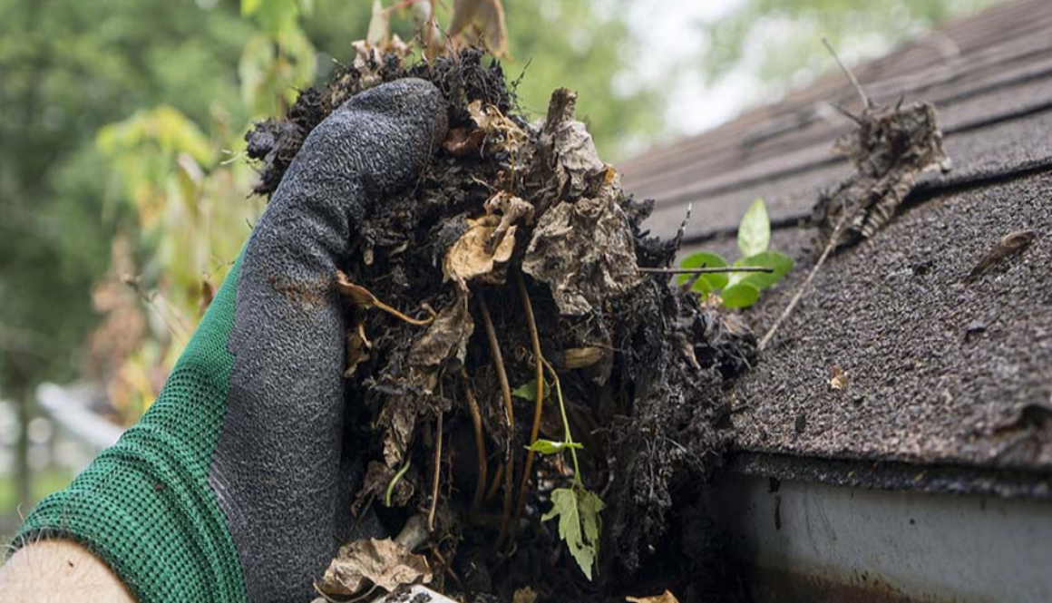 gutter cleaning | Kopa Homes